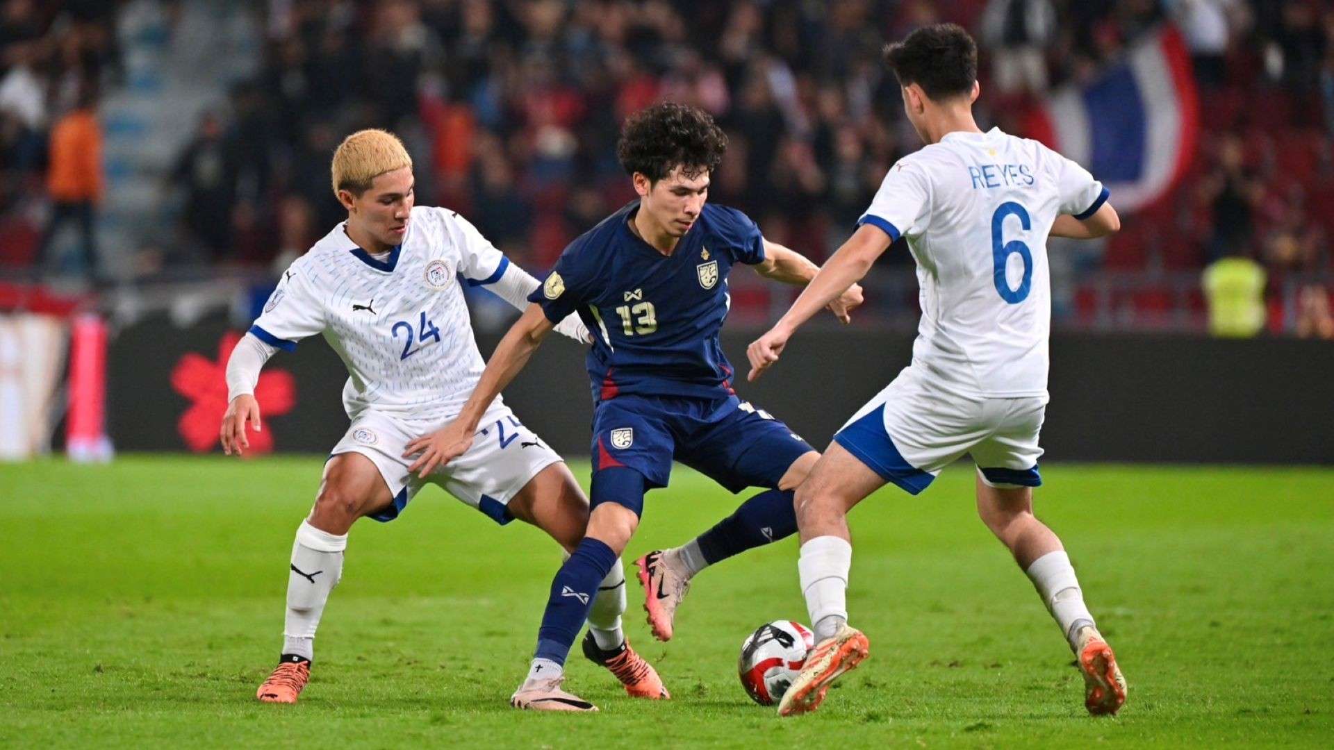 海藝術節的 海藝術節的